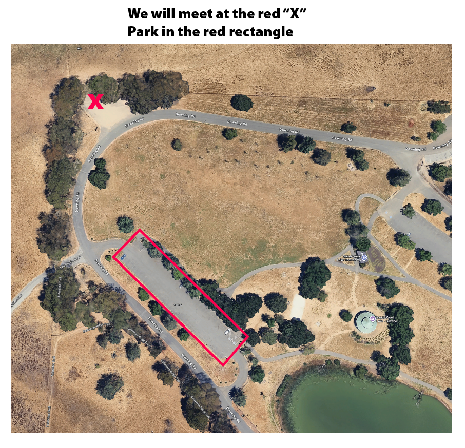 Close-up of the Ed Levin Park meeting parking lot